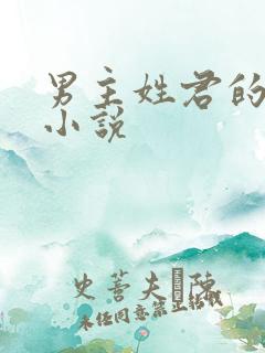 男主姓君的全部小说