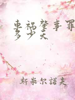车祸肇事罪拘留多少天