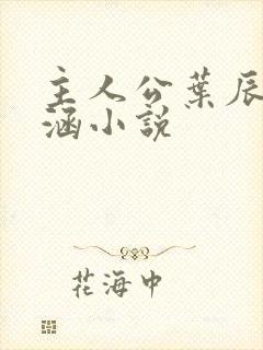 主人公叶辰苏雨涵小说