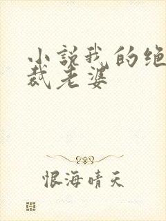 小说我的绝色总裁老婆 小说我的绝色总裁老婆