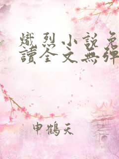 炽烈小说免费阅读全文无弹窗