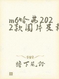 m6哈弗2022款图片及报价