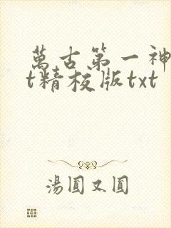 万古第一神txt精校版txt 万古第一神txt精校版txt