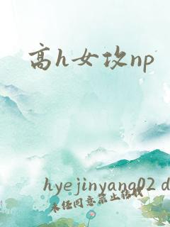 高h女攻np