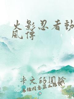火影忍者动画疾风传