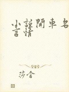 小说开车名场面言情