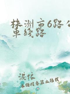 株洲市6路公交车线路 株洲市6路公交车线路