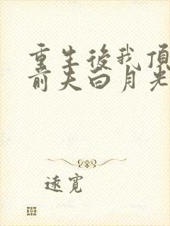 重生后我顶替了前夫白月光畅听