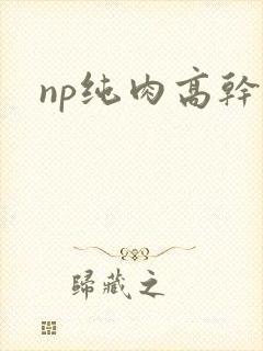 np纯肉高干文 np纯肉高干文