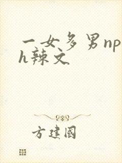 一女多男np高h辣文