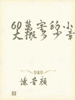 60万字的小说大概多少章