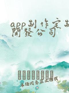 app制作定制开发公司