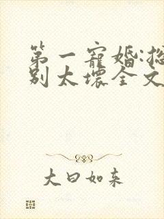 第一宠婚:总裁别太坏全文阅读