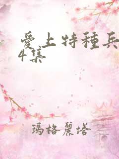 爱上特种兵第34集