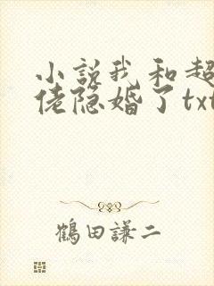 小说我和超级大佬隐婚了txt
