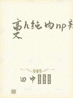 高h纯肉np辣文