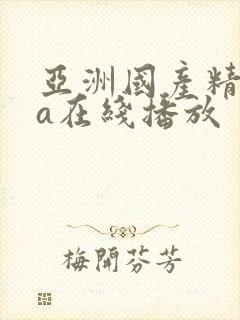 亚洲国产精品va在线播放