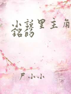 小说里主角叫吴铭的