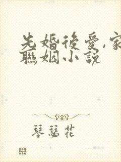 先婚后爱,家族联姻小说