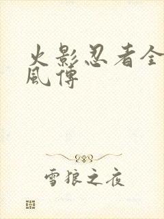 火影忍者全集疾风传