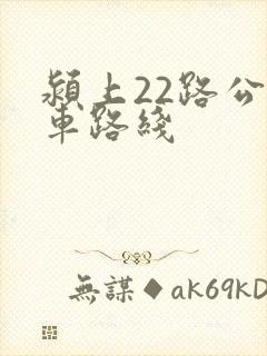 颍上22路公交车路线
