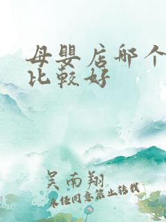 母婴店哪个品牌比较好