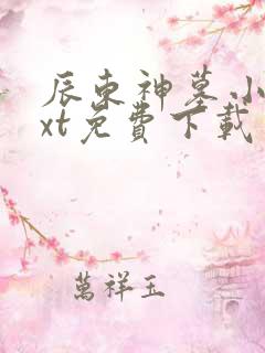 辰东神墓小说txt免费下载