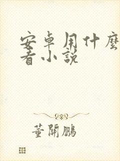 安卓用什么软件看小说