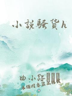 小说骚货h