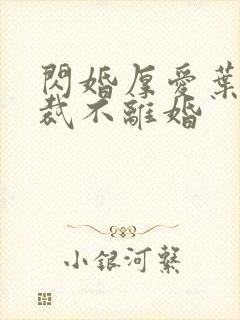 闪婚厚爱叶少总裁不离婚