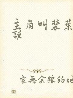 主角叫裴叶的小说