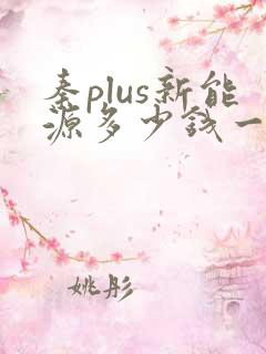 秦plus新能源多少钱一辆新款