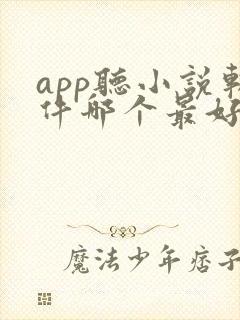 app听小说软件哪个最好