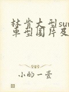 林肯大型suv车型图片及价格