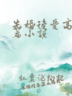 先婚后爱高干中篇小说 先婚后爱高干中篇小说