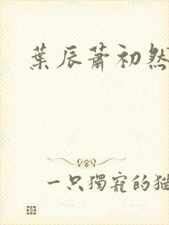叶辰萧初然听书 叶辰萧初然听书