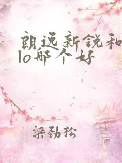 朗逸新锐和polo哪个好