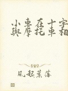 小车在十字路口与摩托车相撞谁责
