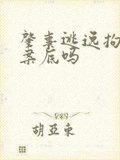 肇事逃逸拘留有案底吗