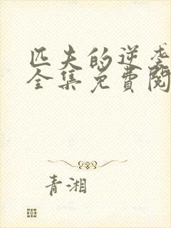 匹夫的逆袭小说全集免费阅读