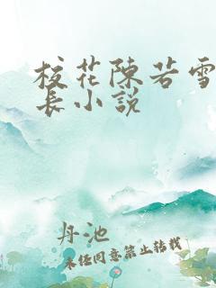 校花陈若雪与校长小说