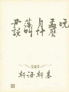尹落月孟晚森小说叫什么