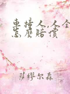 车撞人,人全责怎么赔偿