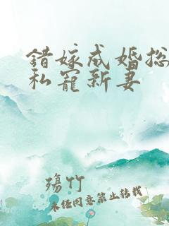 错嫁成婚总裁的私宠新妻