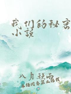 我们的秘密泰剧小说