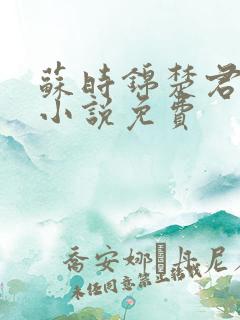 苏时锦楚君彻的小说免费