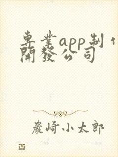 专业app制作开发公司