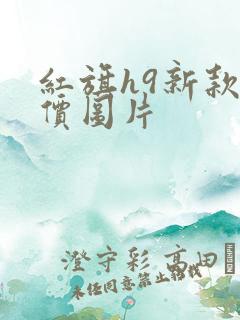 红旗h9新款报价图片 红旗h9新款报价图片