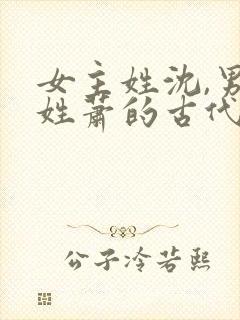 女主姓沈,男主姓萧的古代重生小说