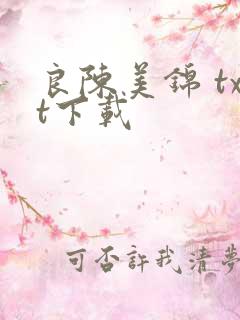良陈美锦 txt下载